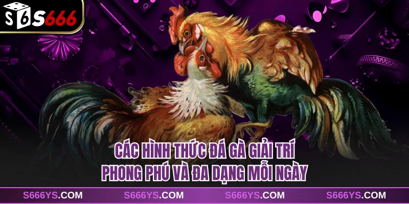 Các hình thức đá gà giải trí phong phú và đa dạng mỗi ngày