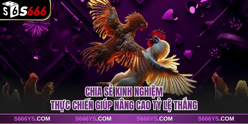 Chia sẻ kinh nghiệm thực chiến giúp nâng cao tỷ lệ thắng