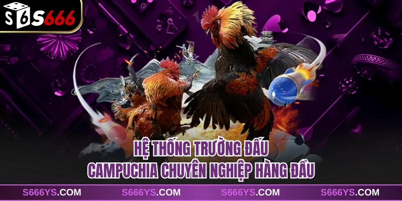 Hệ thống trường đấu Campuchia chuyên nghiệp hàng đầu