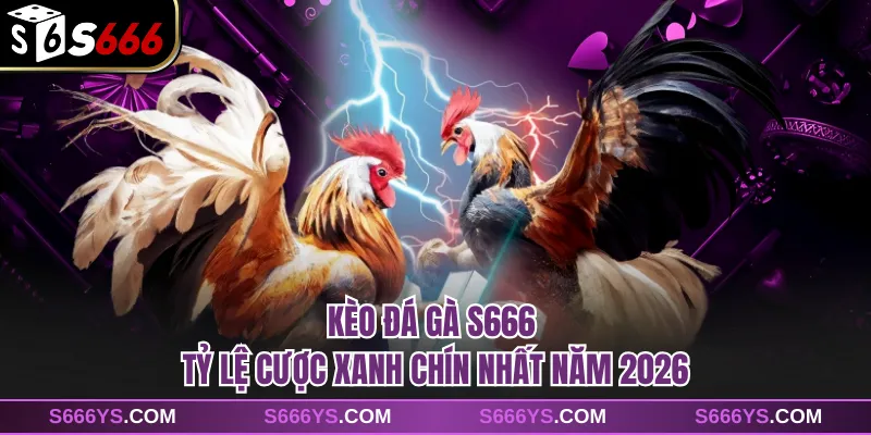 Kèo Đá Gà S666 - Tỷ Lệ Cược Xanh Chín Nhất Năm 2026